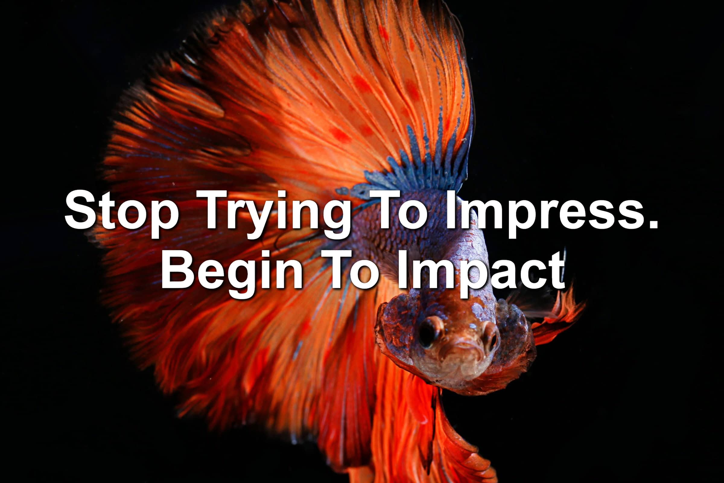 Bright red fish. Flashy and pretty
