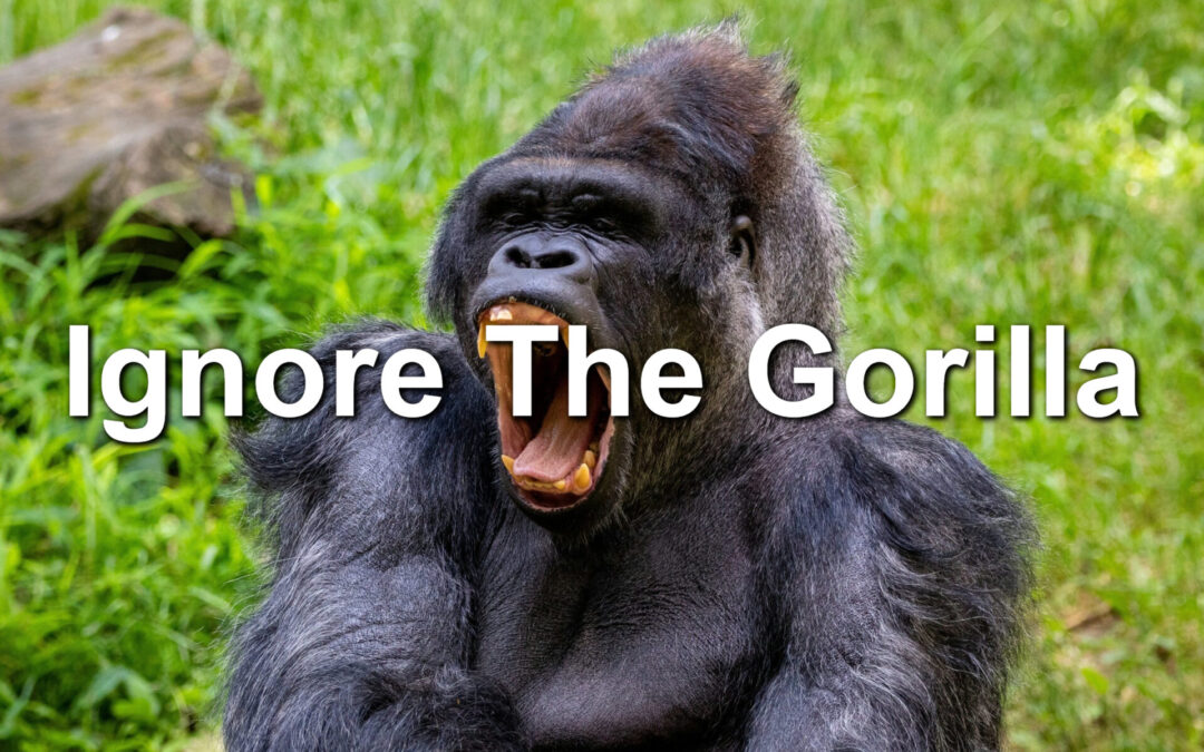 Ignore The Gorilla