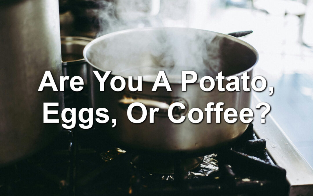 Are You A Potato, Eggs, Or Coffee?
