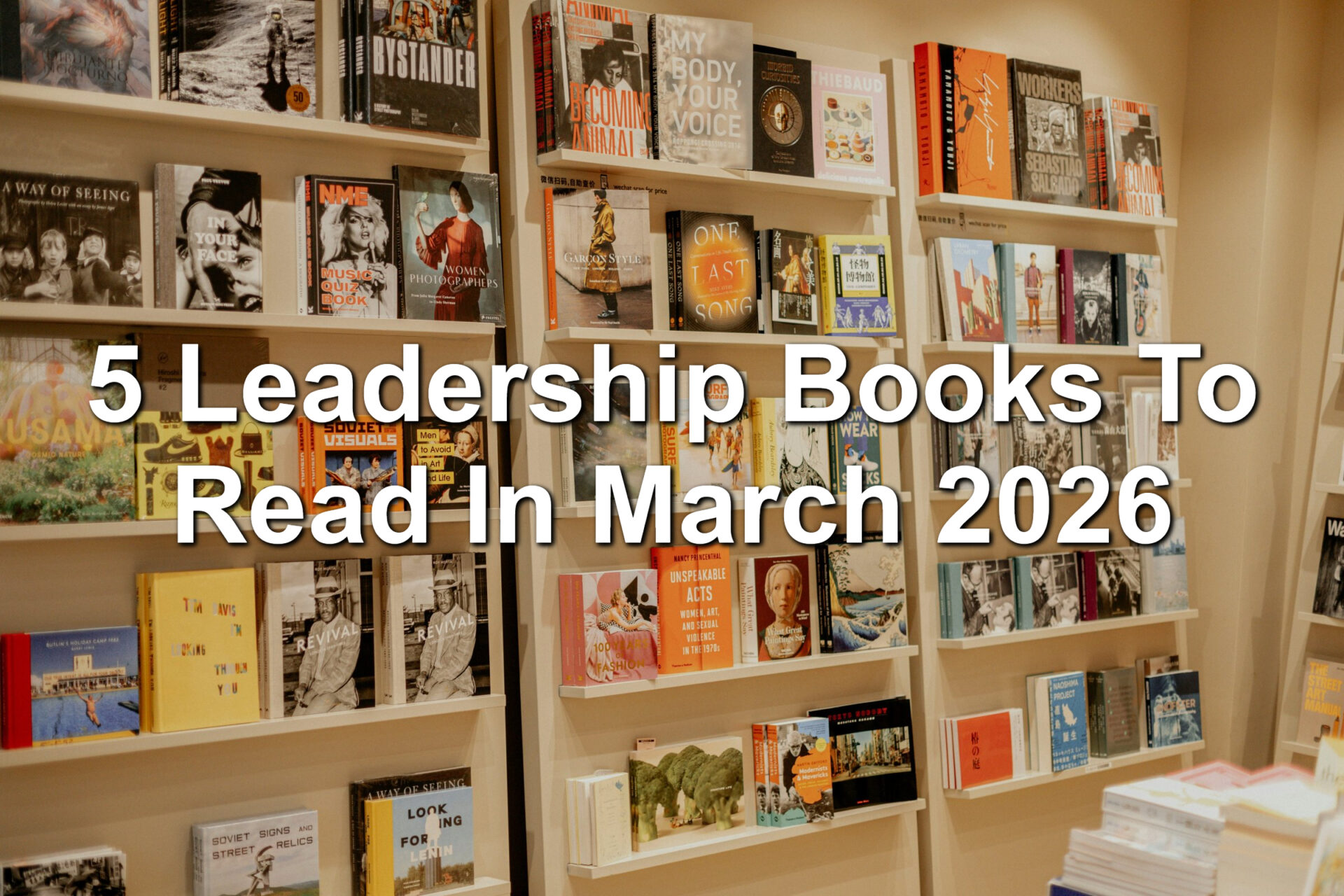Bookcases full of books